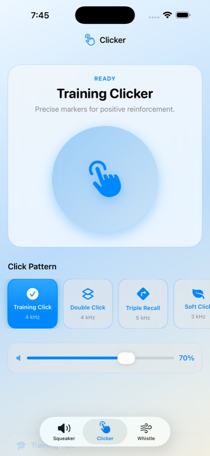 Clicker mode with training pattern controls